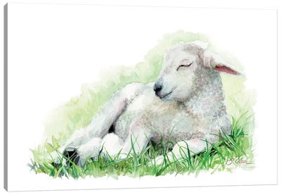 Sleeping Farm Lamb Canvas Art Print - Sheep Art