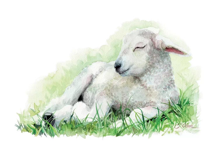 Sleeping Farm Lamb