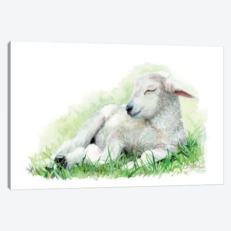 Sleeping Farm Lamb Canvas Print #WLU80} by Watercolor Luv Canvas Art