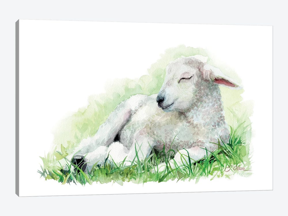 Sleeping Farm Lamb by Watercolor Luv 1-piece Canvas Wall Art