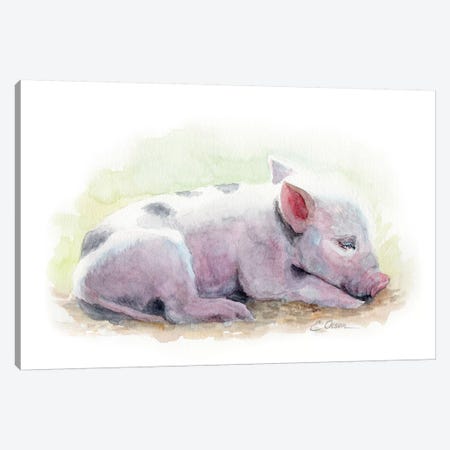 Sleeping Farm Piglet Canvas Print #WLU81} by Watercolor Luv Canvas Artwork