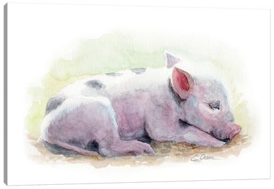 Sleeping Farm Piglet Canvas Art Print - Watercolor Luv