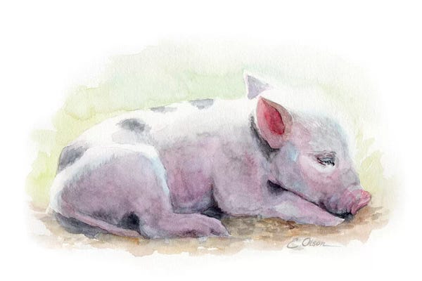 Pigs: Sleeping Farm Piglet by Watercolor Luv