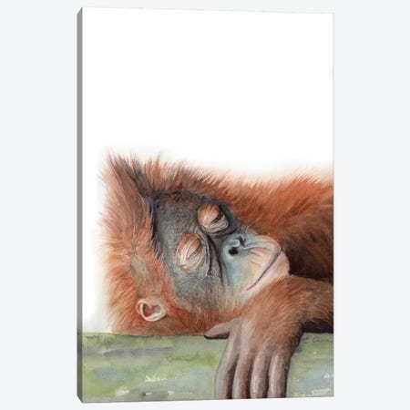 Sleeping Orangutan Canvas Print #WLU82} by Watercolor Luv Canvas Art