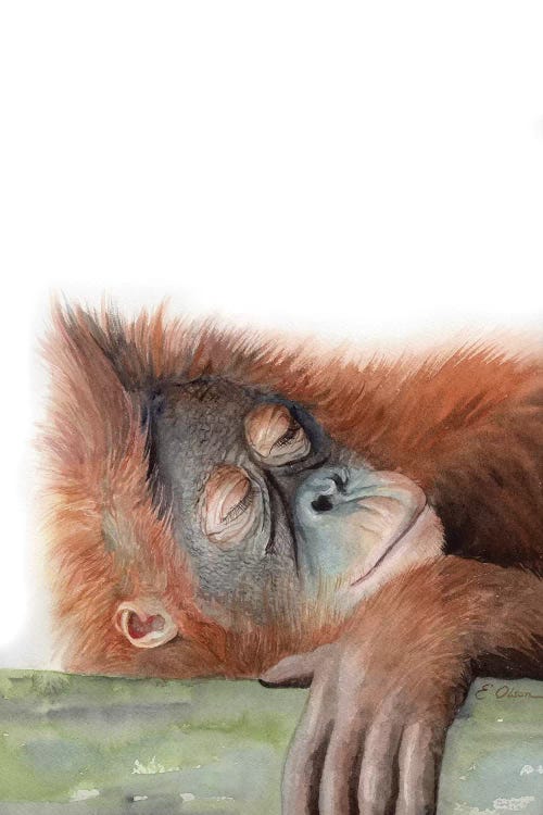 Sleeping Orangutan by Watercolor Luv wall art