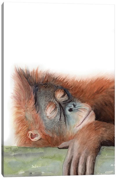Sleeping Orangutan Canvas Art Print - Watercolor Luv