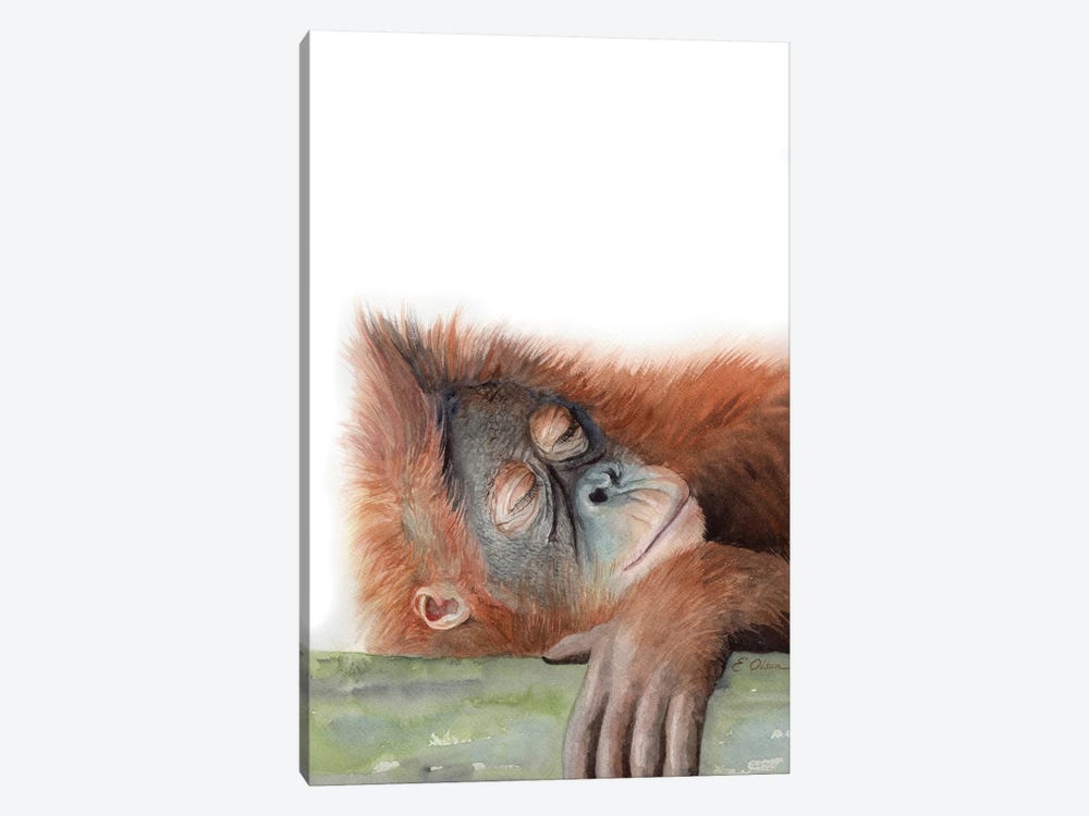 Sleeping Orangutan by Watercolor Luv 1-piece Canvas Artwork