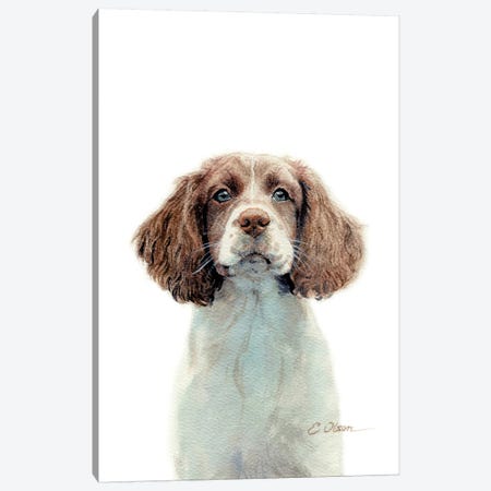 Springer Spaniel Puppy Canvas Print #WLU84} by Watercolor Luv Art Print
