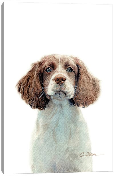 Springer Spaniel Puppy Canvas Art Print - Watercolor Luv