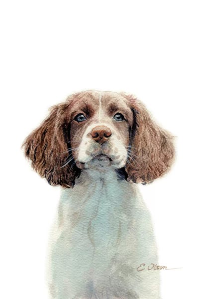 English Springer Spaniels: Springer Spaniel Puppy by Watercolor Luv
