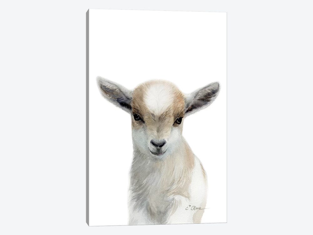 Tan & White Baby Goat by Watercolor Luv 1-piece Canvas Art Print