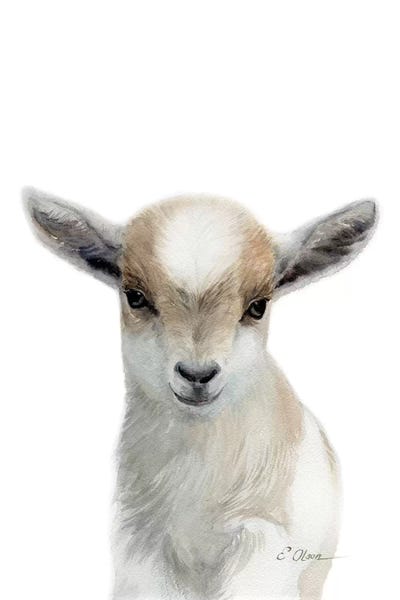 Goats: Tan & White Baby Goat by Watercolor Luv