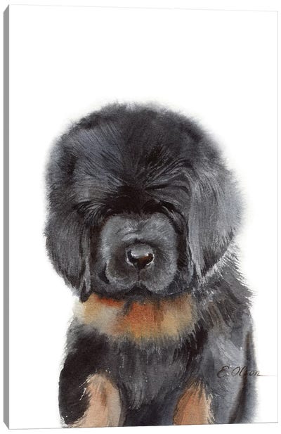 Tibetan Mastiff Puppy Canvas Art Print - Watercolor Luv