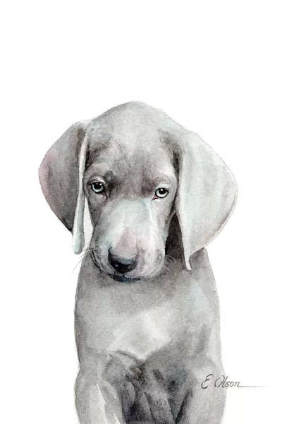 Puppies: Weimaraner Puppy by Watercolor Luv