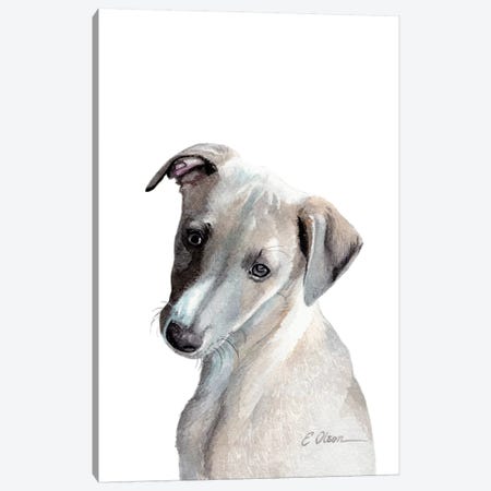 Whippet Puppy Canvas Print #WLU88} by Watercolor Luv Canvas Art