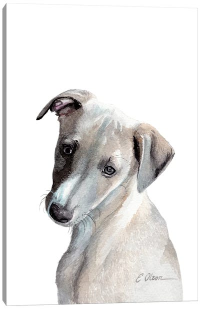 Whippet Puppy Canvas Art Print - Watercolor Luv