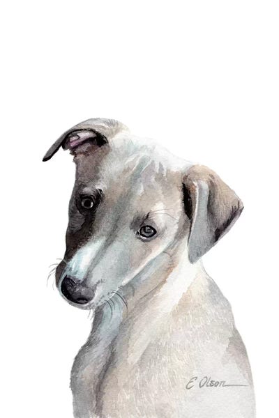 Whippets: Whippet Puppy by Watercolor Luv