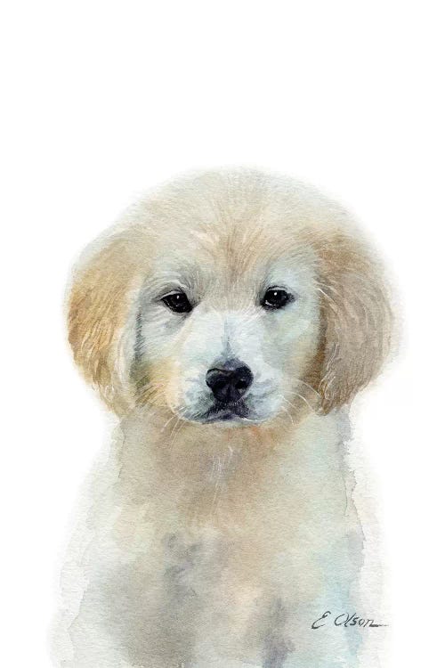 White Golden Retriever Puppy by Watercolor Luv wall art