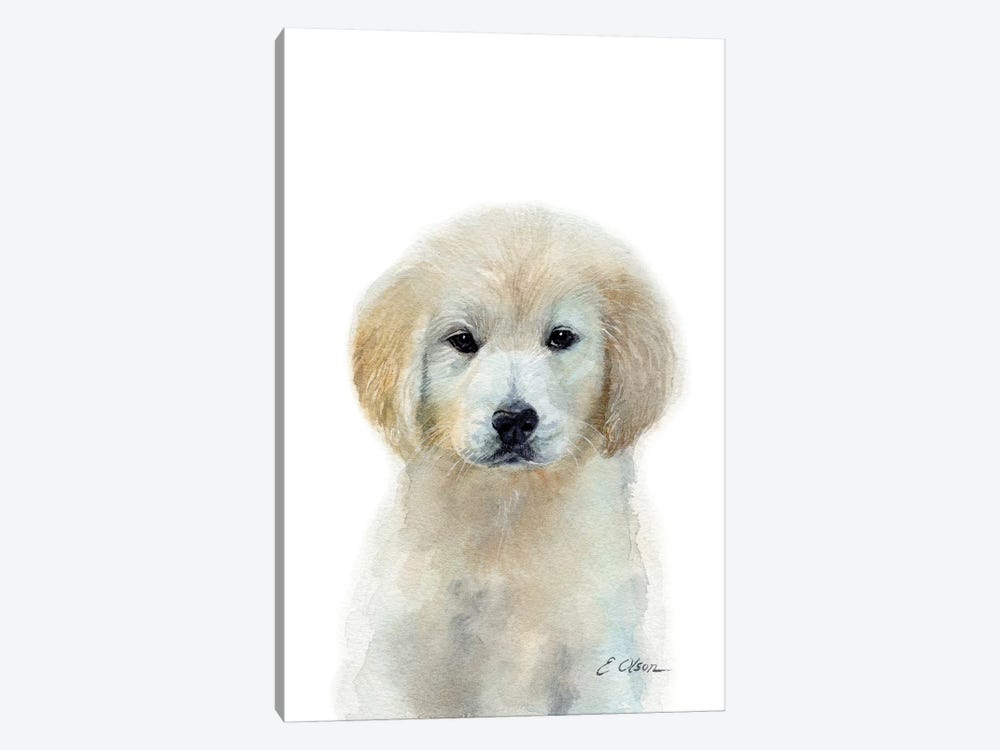 White Golden Retriever Puppy by Watercolor Luv 1-piece Art Print