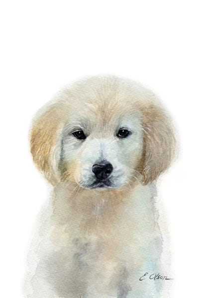 Puppies: White Golden Retriever Puppy by Watercolor Luv