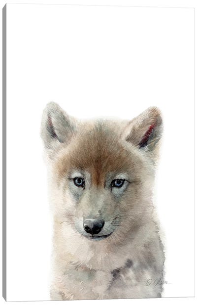Baby Wolf Canvas Art Print - Watercolor Luv