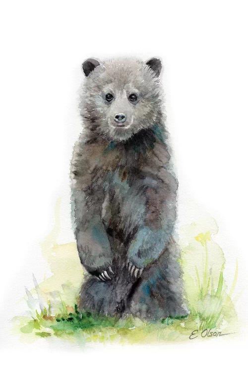 Woodland Baby Bear Cub by Watercolor Luv wall art