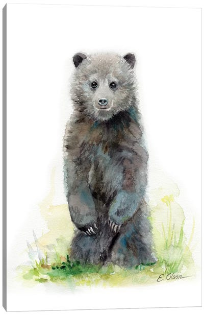 Woodland Baby Bear Cub Canvas Art Print - Watercolor Luv
