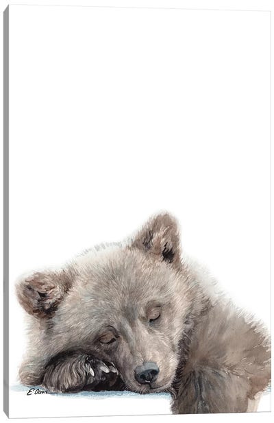 Woodland Sleeping Bear Cub Canvas Art Print - Baby Animal Art