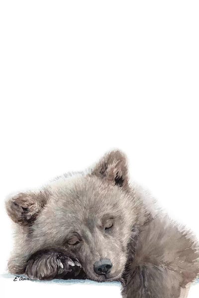 Baby Animals: Woodland Sleeping Bear Cub by Watercolor Luv