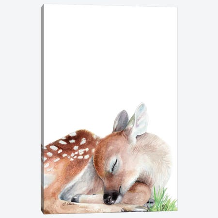 Woodland Sleeping Fawn Canvas Print #WLU92} by Watercolor Luv Canvas Print
