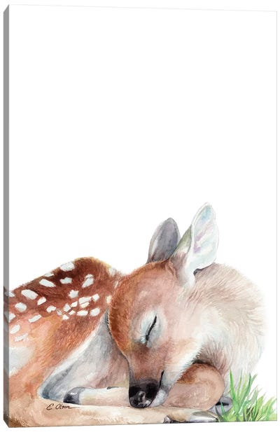 Woodland Sleeping Fawn Canvas Art Print - Baby Animal Art