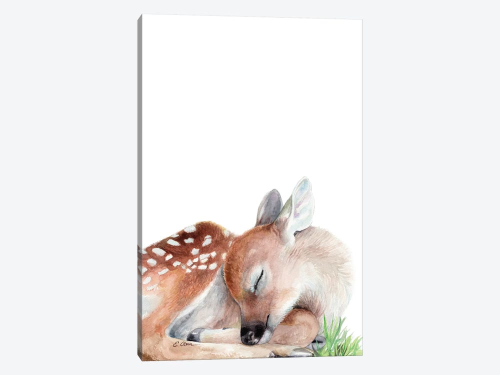 Woodland Sleeping Fawn by Watercolor Luv 1-piece Art Print