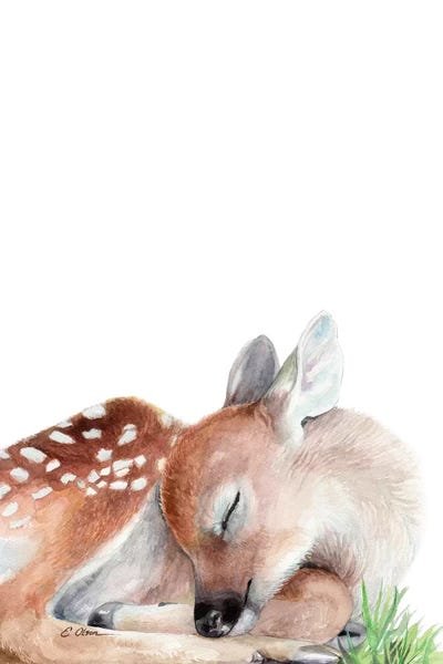 Woodland Sleeping Fawn