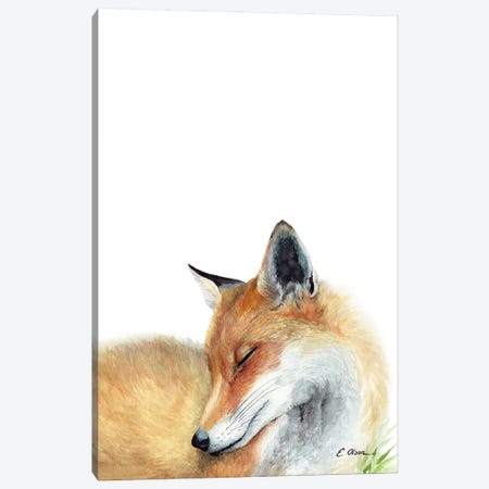 Woodland Sleeping Fox Canvas Print #WLU93} by Watercolor Luv Art Print