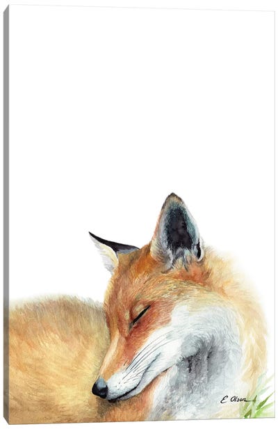 Woodland Sleeping Fox Canvas Art Print - Watercolor Luv