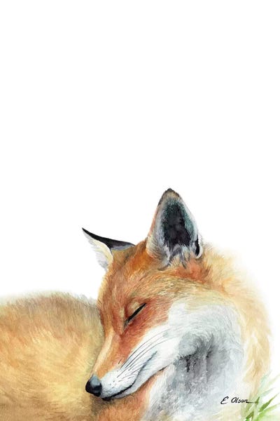 Foxes: Woodland Sleeping Fox by Watercolor Luv