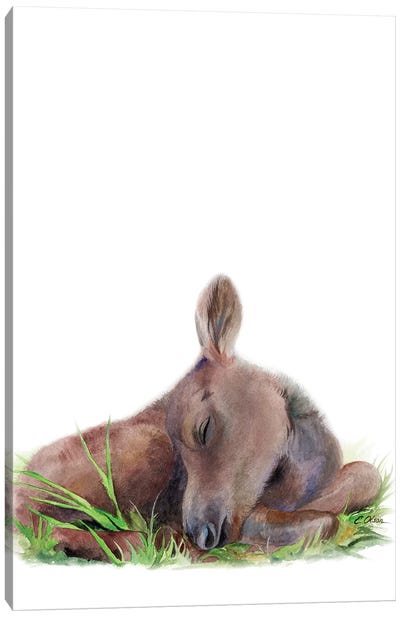 Woodland Sleeping Moose Canvas Art Print - Watercolor Luv