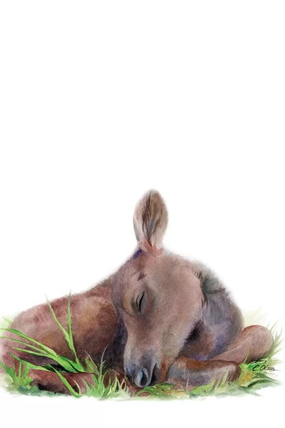 Moose: Woodland Sleeping Moose by Watercolor Luv