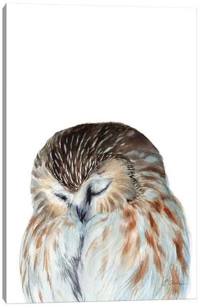 Woodland Sleeping Owl Canvas Art Print - Watercolor Luv