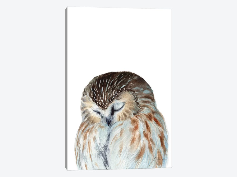 Woodland Sleeping Owl by Watercolor Luv 1-piece Canvas Wall Art