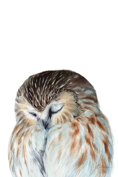 Sleeping & Napping: Woodland Sleeping Owl by Watercolor Luv
