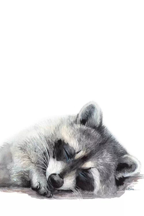 Woodland Sleeping Raccoon