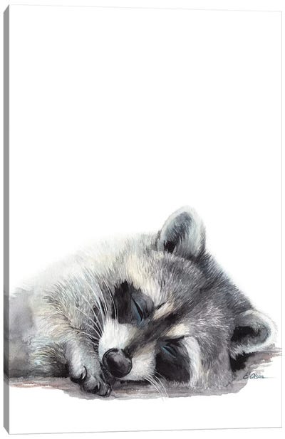 Woodland Sleeping Raccoon Canvas Art Print - Watercolor Luv