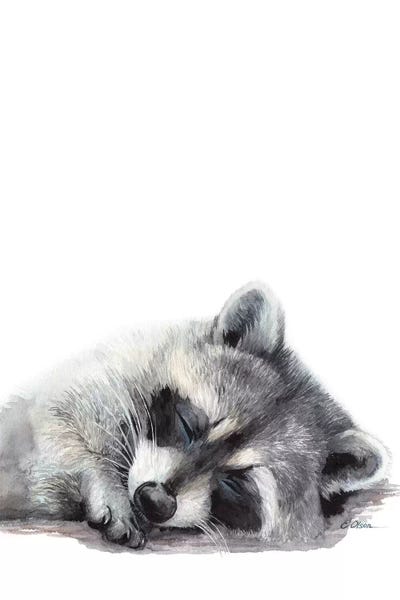 Kids Art Boys: Woodland Sleeping Raccoon by Watercolor Luv
