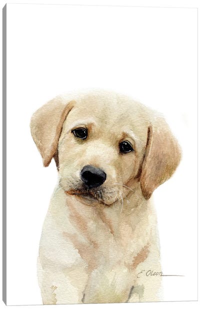 Yellow Labrador Puppy Canvas Art Print - Watercolor Luv