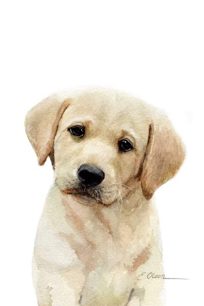 Baby Animals: Yellow Labrador Puppy by Watercolor Luv