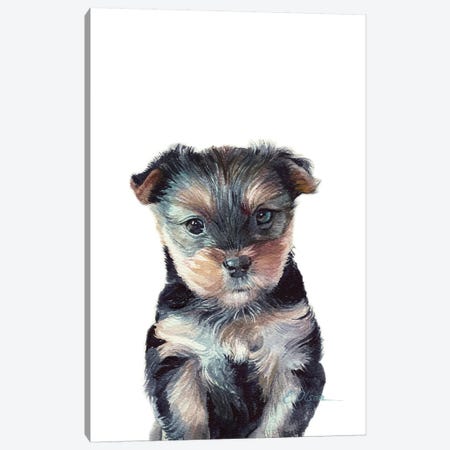 Yorkshire Terrier Puppy Canvas Print #WLU98} by Watercolor Luv Canvas Art Print