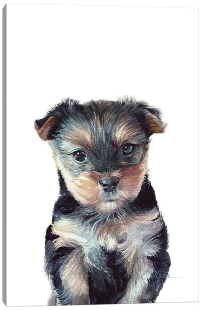 Yorkshire Terrier Puppy Canvas Art Print - Puppy Art
