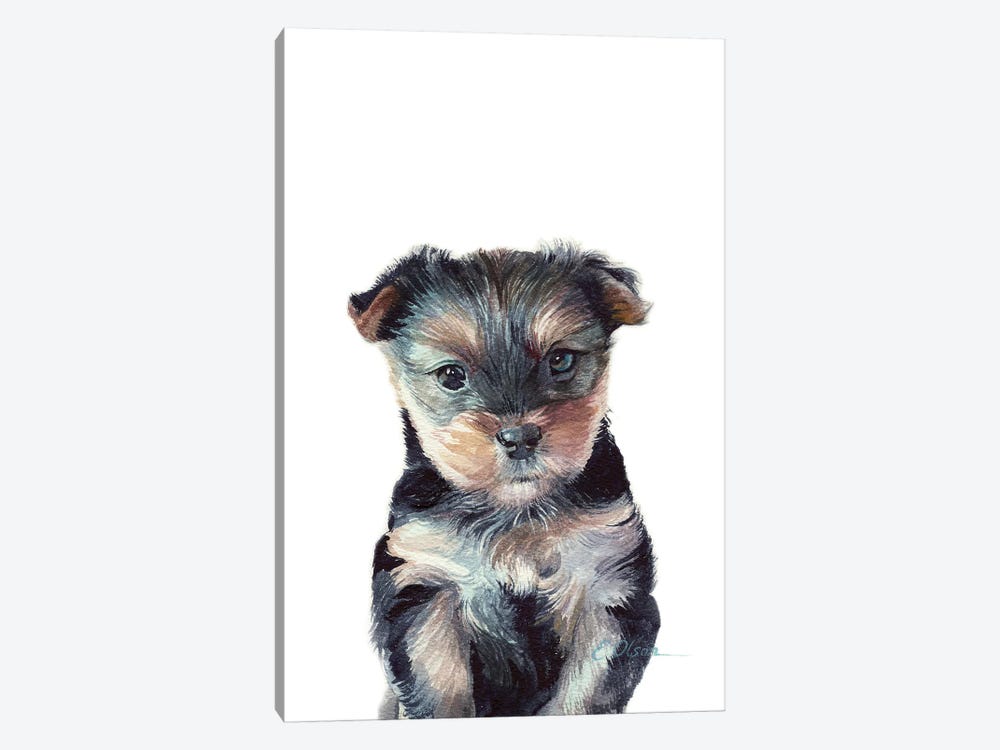 Yorkshire Terrier Puppy by Watercolor Luv 1-piece Canvas Print