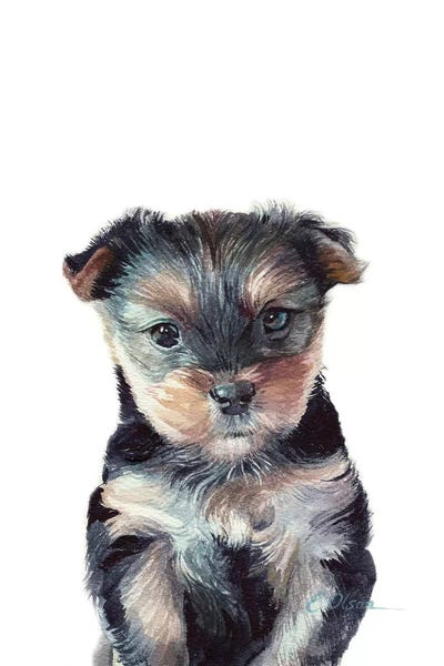 Puppies: Yorkshire Terrier Puppy by Watercolor Luv